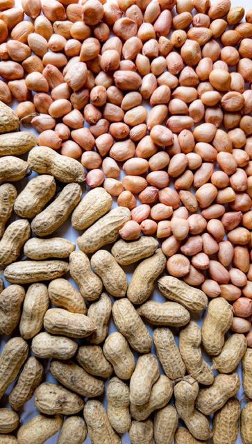 Peanuts Image 5
