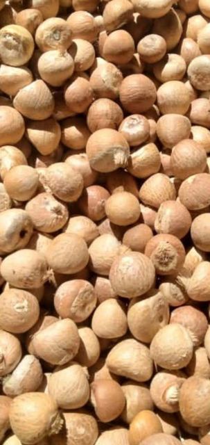 Betelnut Product 3