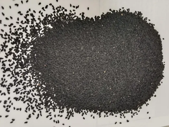 Black Seed Product