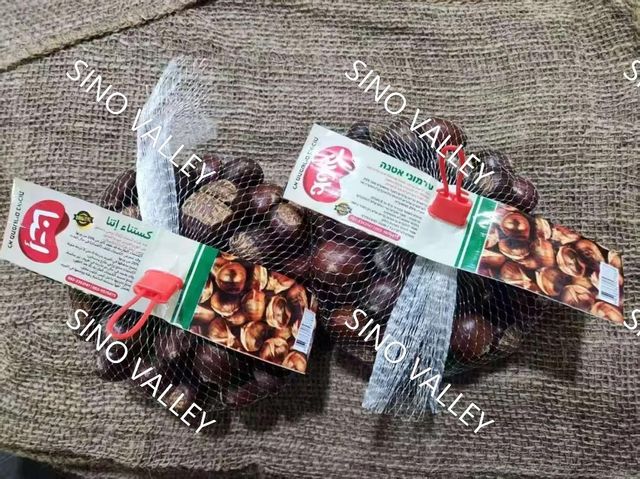 China Taishan Chestnut
