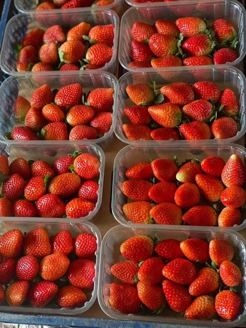 Sliced Strawberries in bowl