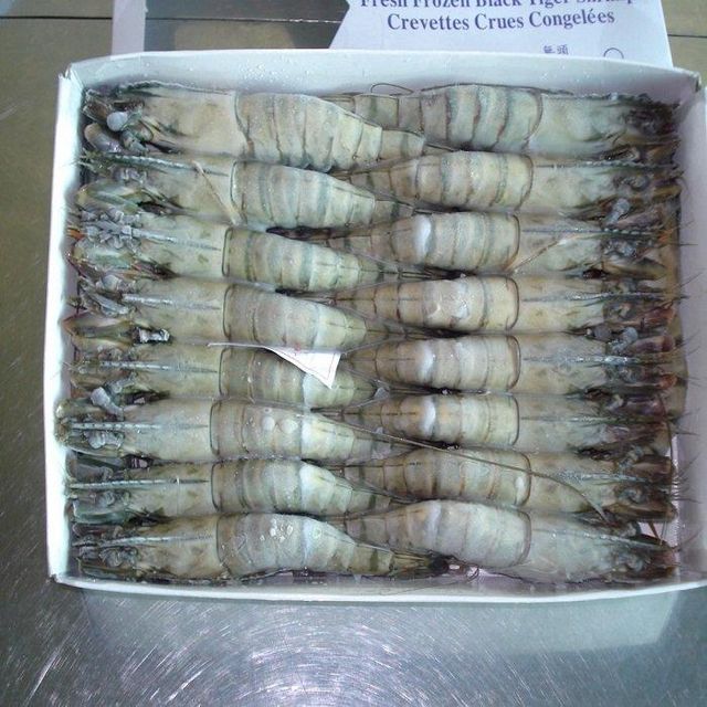 Frozen Black Tiger Shrimp