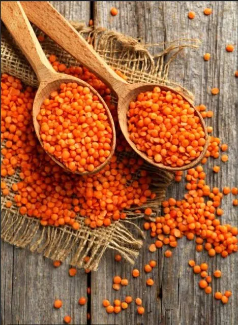 Fresh Red Lentils Product Image