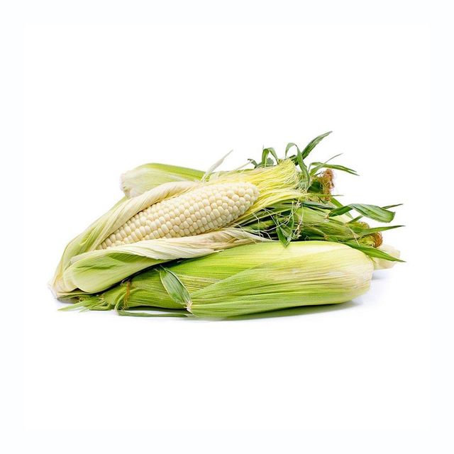 White Corn Bulk