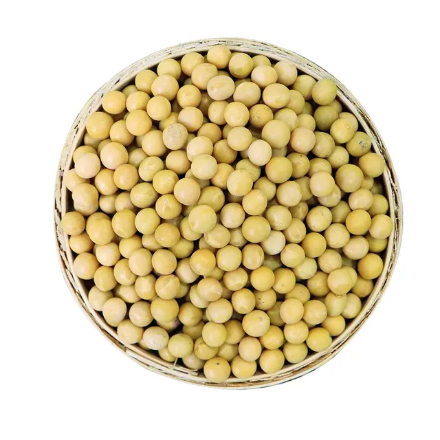 Close-up Yellow Soybean Seeds