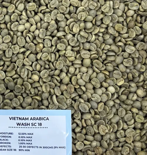 Vietnam Arabica Coffee Beans Close-up 1