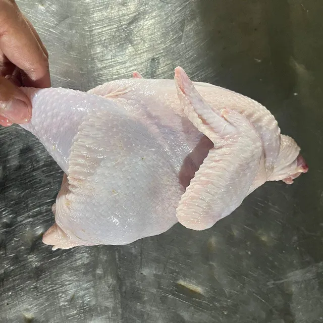 Fresh Frozen Whole Chicken