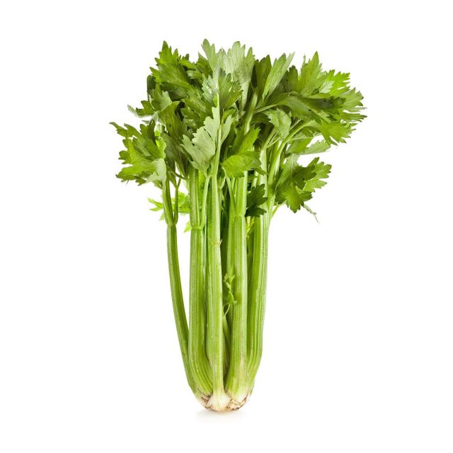 Fresh Celery 1