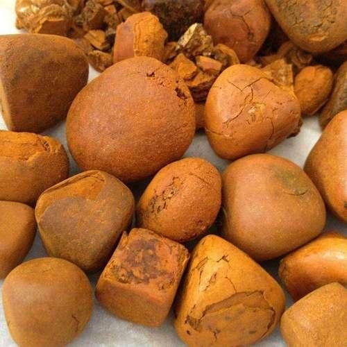 Ox Gallstone Image 4