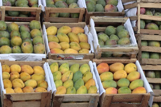 Close-up of sliced juicy mango
