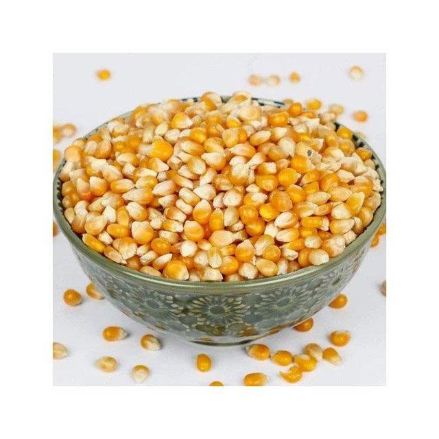 Yellow Maize in Bulk