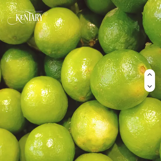 Fresh green seedless lemons arranged in basket