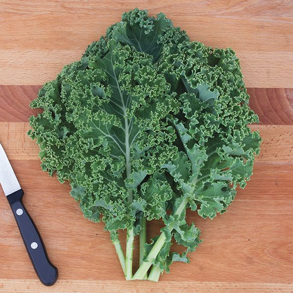 Kale in Bulk Bin
