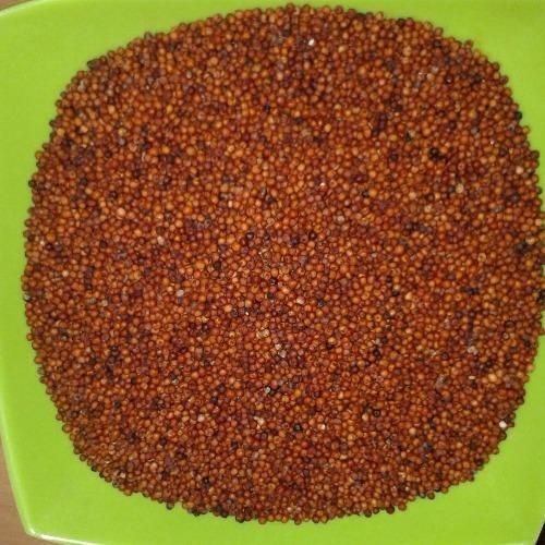 Finger Millet - Natural Ragi Grain