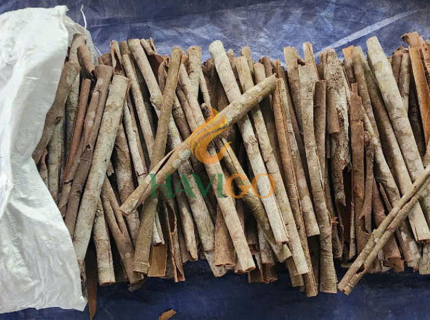 Cassia Cinnamon Image 3