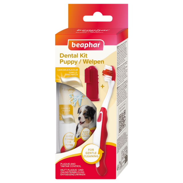 Beaphar Puppy Dental Kit