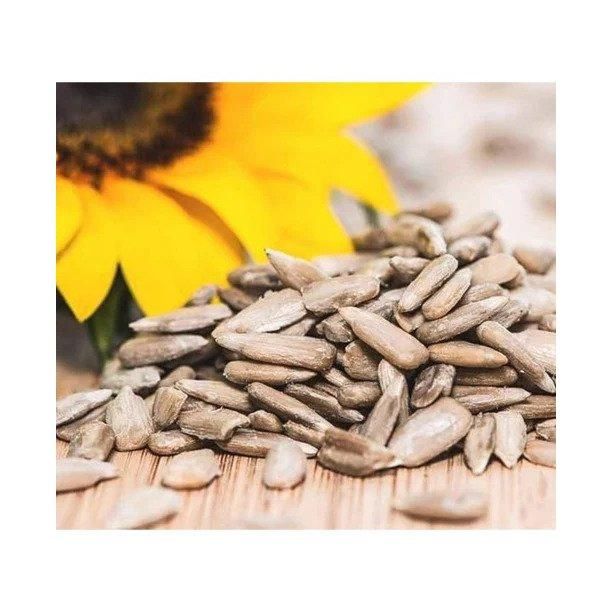 Sunflower Seeds 1