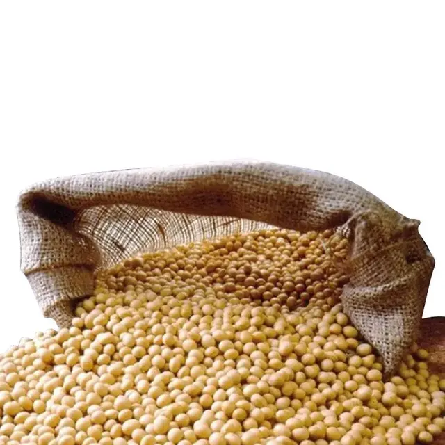 Soybeans in Agricultural Storage