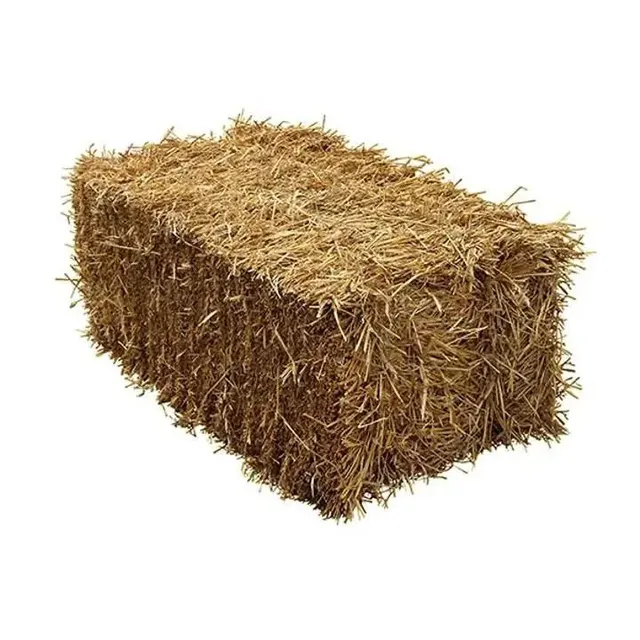 Organic Alfalfa Hay Bales
