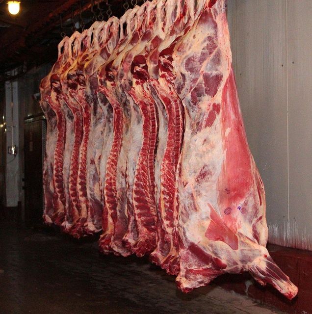 Halal Beef Product 4