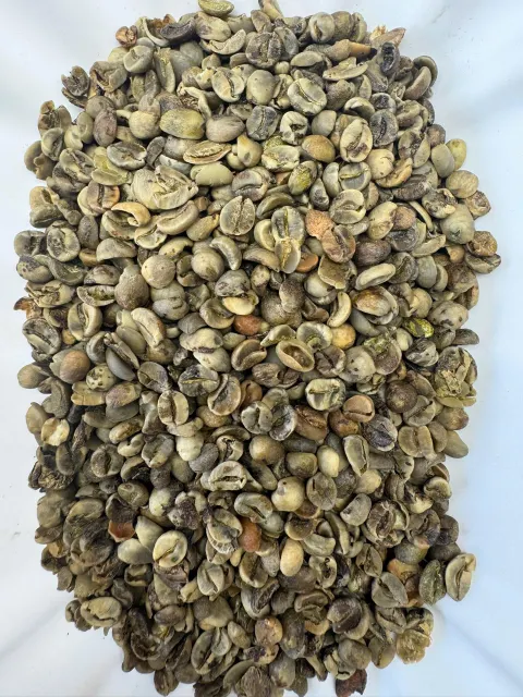 Vietnamese Arabica G3 green coffee beans close-up