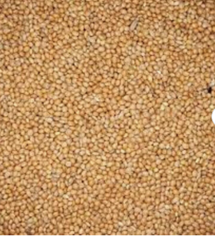 Yellow Millet in Packaging