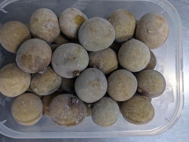 Frozen Longan 5