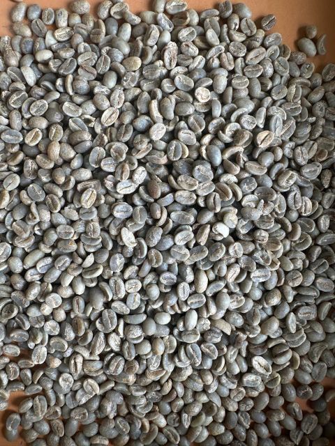 Green Coffee Beans 2