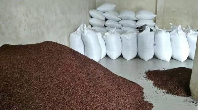 Indonesian Cloves Image 2
