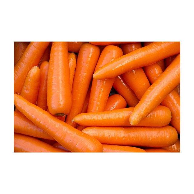Fresh carrots in natural light
