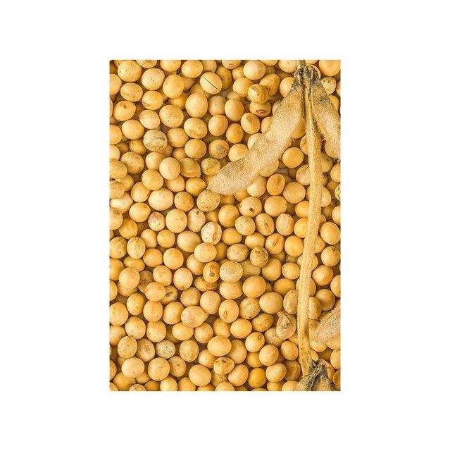 Premium soybeans