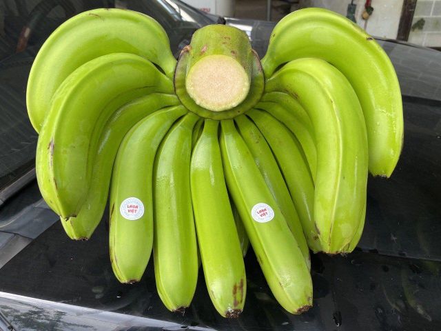 Green Cavendish Banana