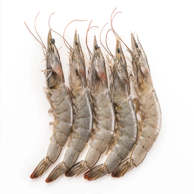 IQF Frozen Headless Peeled Black Tiger Shrimp