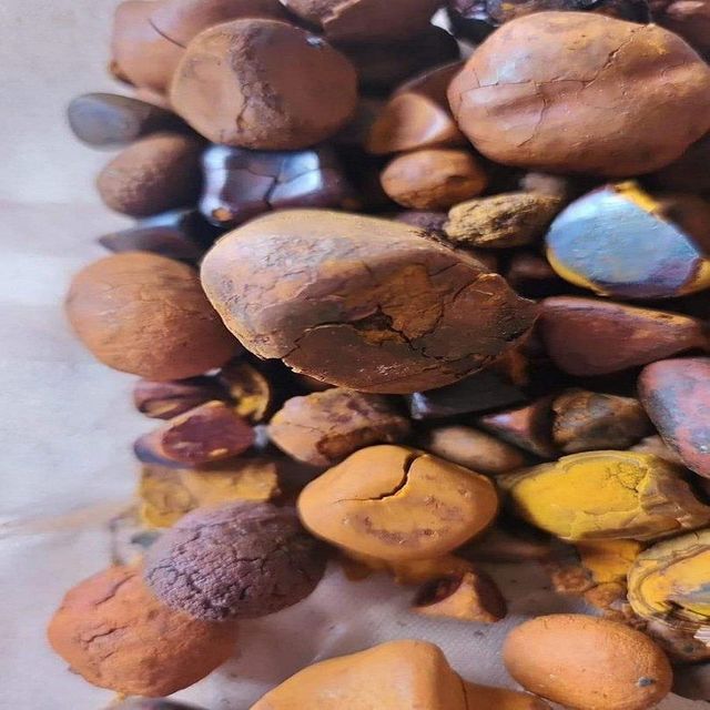 Cow Gallstone