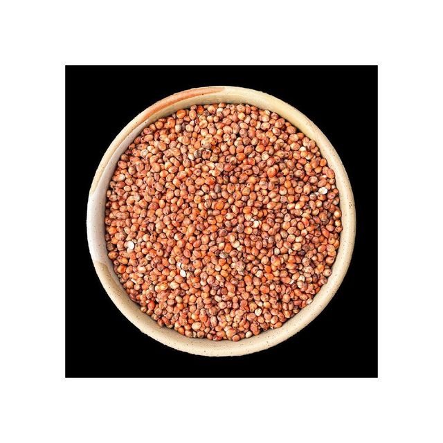 Bulk sorghum grain in 50kg export bag