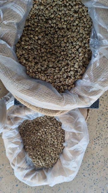 Packaging of Robusta coffee products