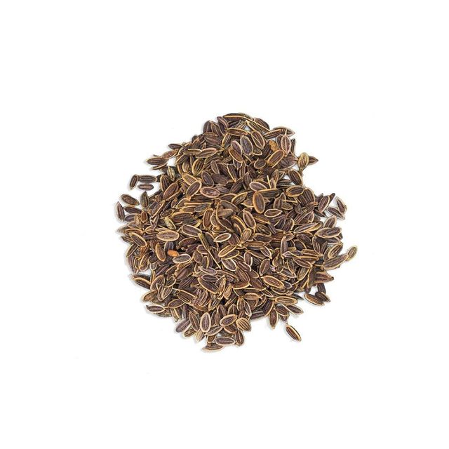 Fresh dill seed harvested and processed for optimal quality