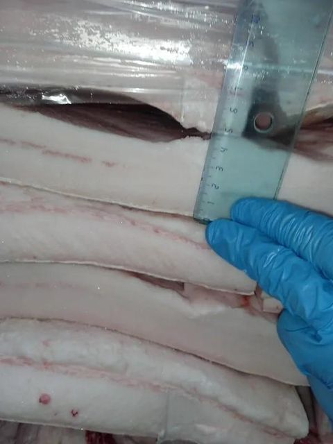 Iberian pork back fat - frozen state