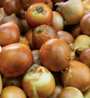 Yellow Onion