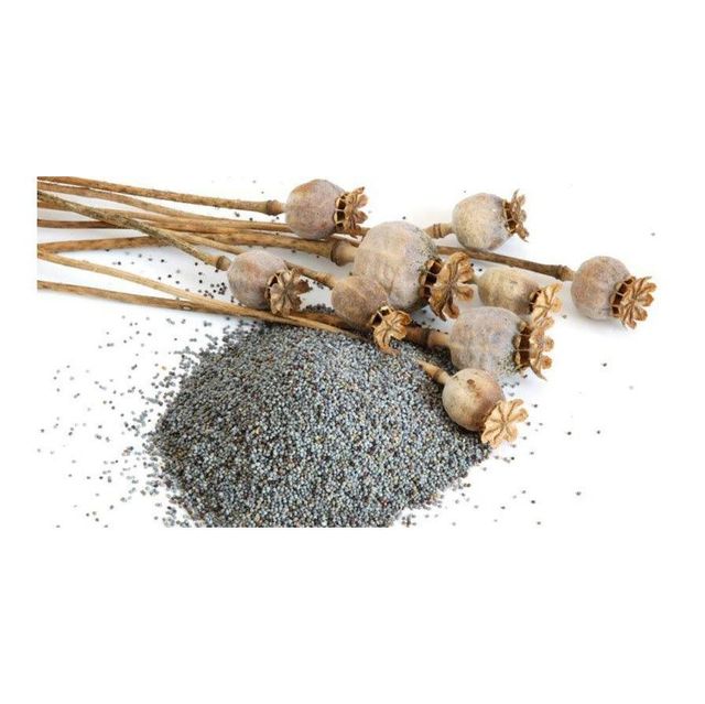 Poppy Seeds Image 2