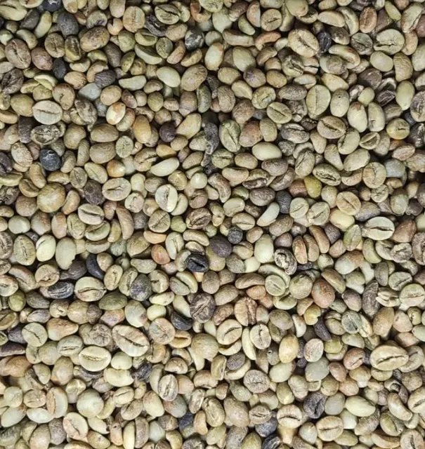 Robusta Green Bean