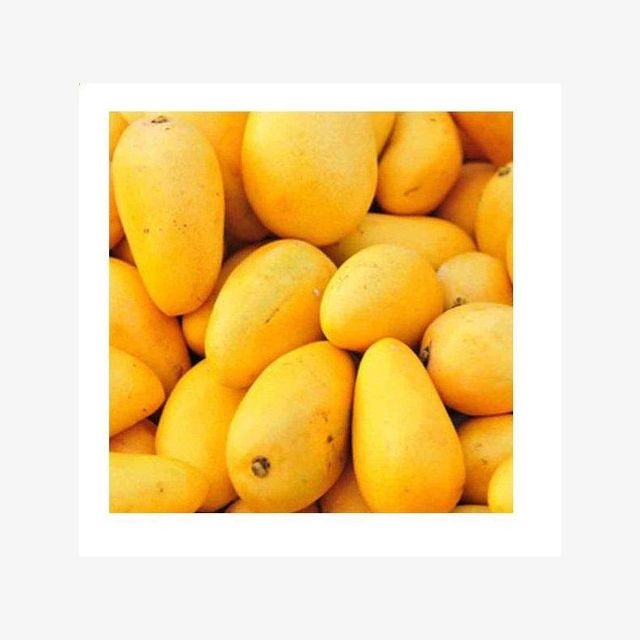 Fresh Mango Image 1