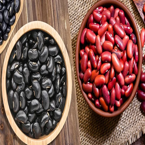 High Quality Kidney Beans