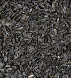 Sunflower Seed Packaging - High Size Dried Product