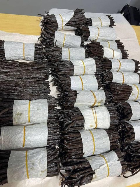 Packed Vanilla Beans