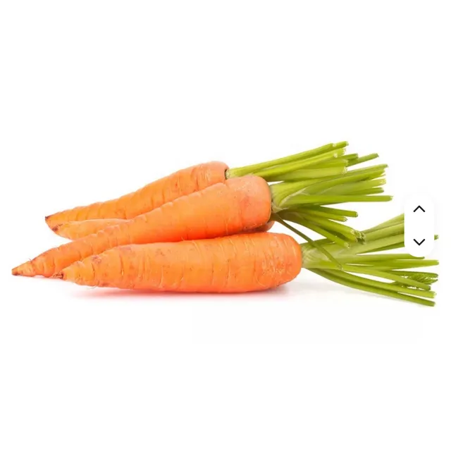 Fresh premium carrots - whole carrots displayed