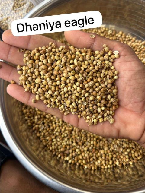 Heap of Coriander Seeds