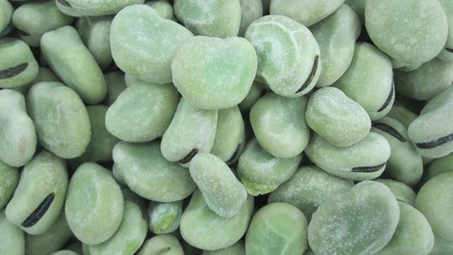Frozen Broad Beans IQF - Uniform Size