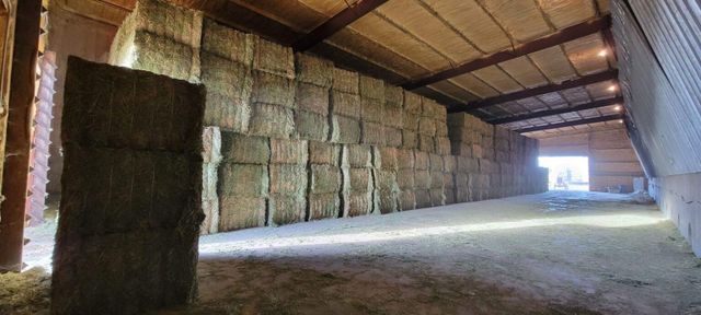 Alfalfa Pellet