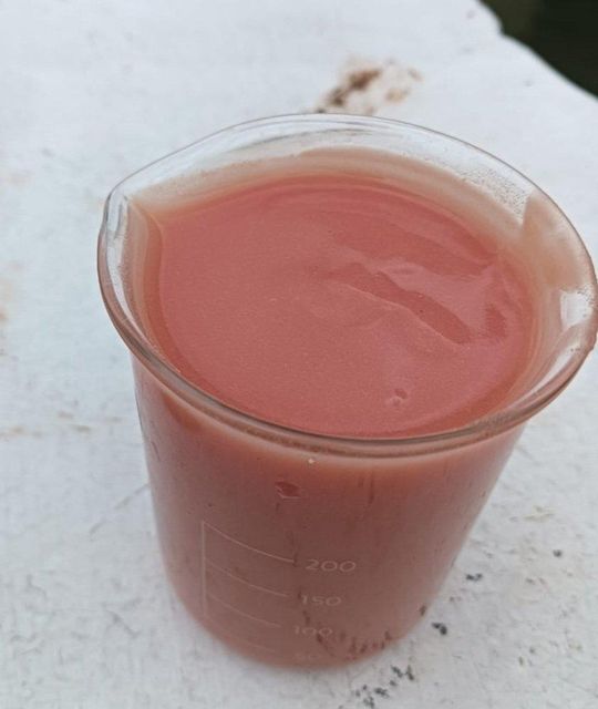 Pink Guava Pulp 1